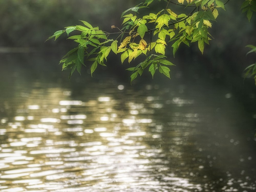 На Сокольском ЦБК построят новые очистные сооружения