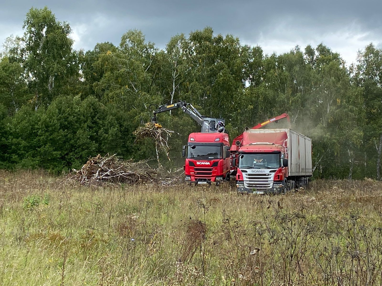 Холдинг &laquo;Алтайлес&raquo; пополнил парк спецтехники