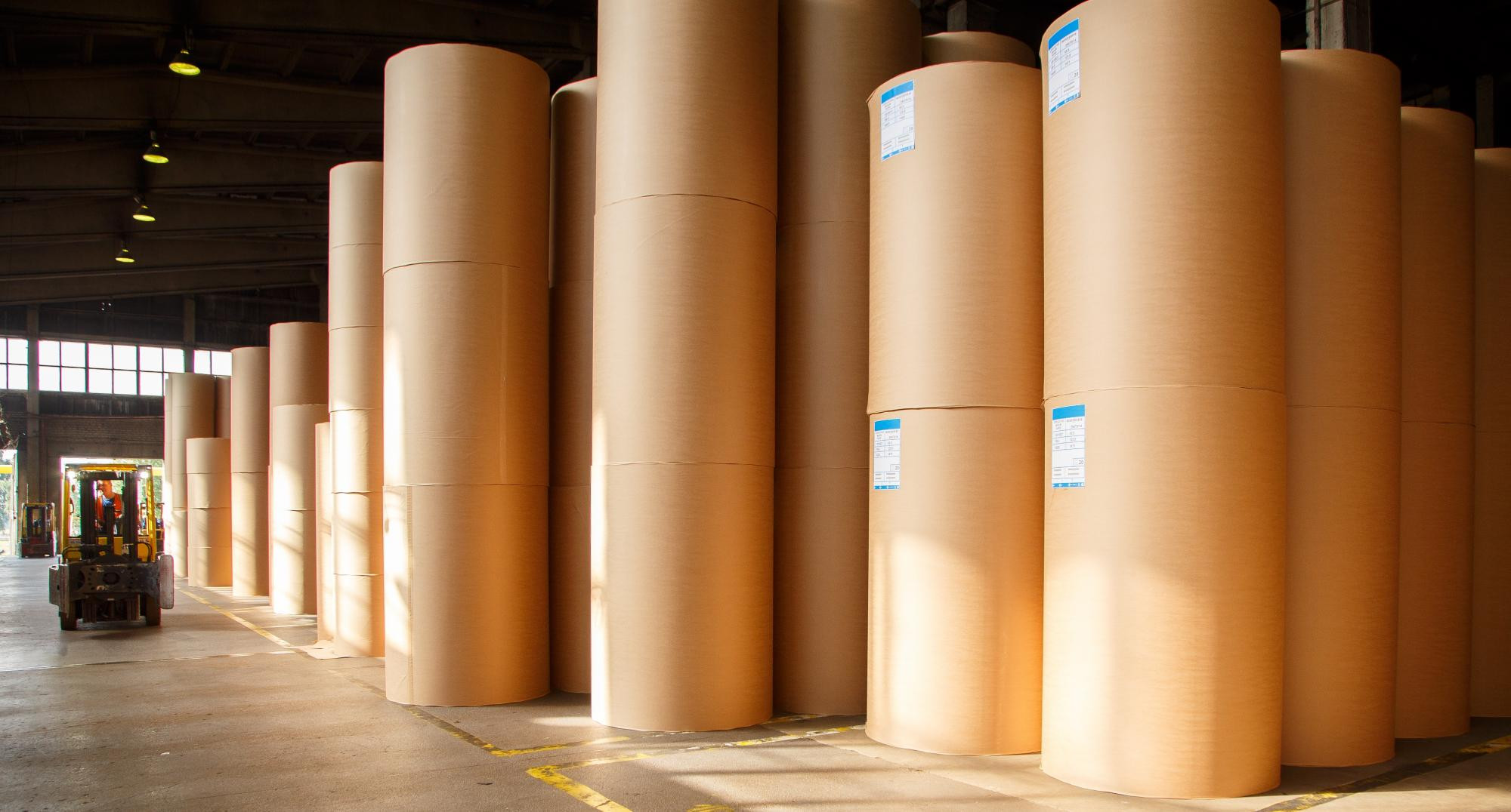 Pesmel поставит линию транспортировки и упаковки рулонов бумаги &laquo;Соликамскбумпром&raquo;