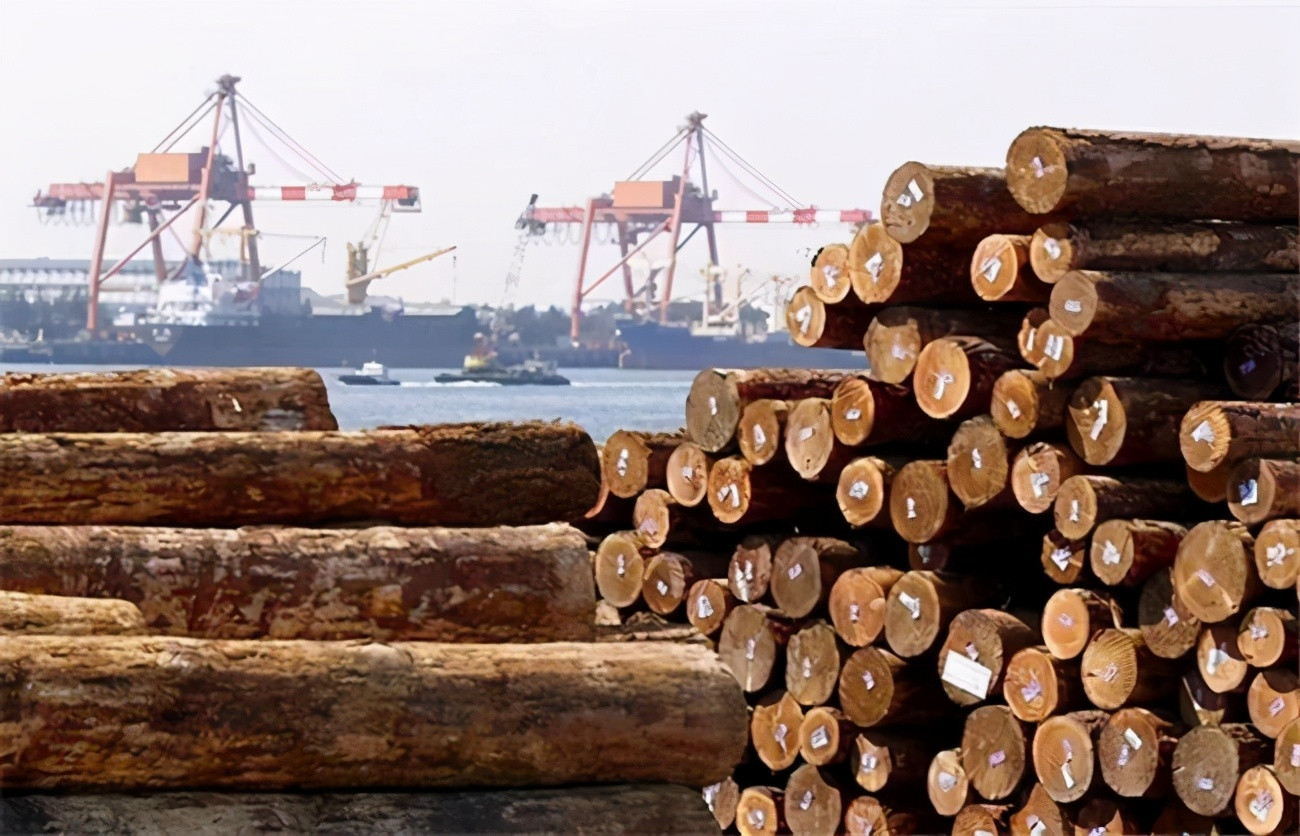В январе-октябре 2021 года Приморский край экспортировал 960 тыс. кубометров лесопродукции