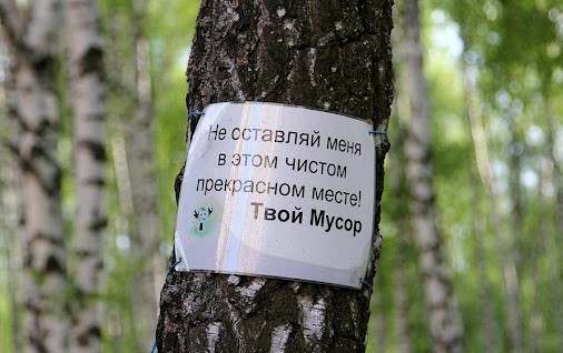 Арендатор леса на Урале ликвидировал огромную свалку на землях гослесфонда