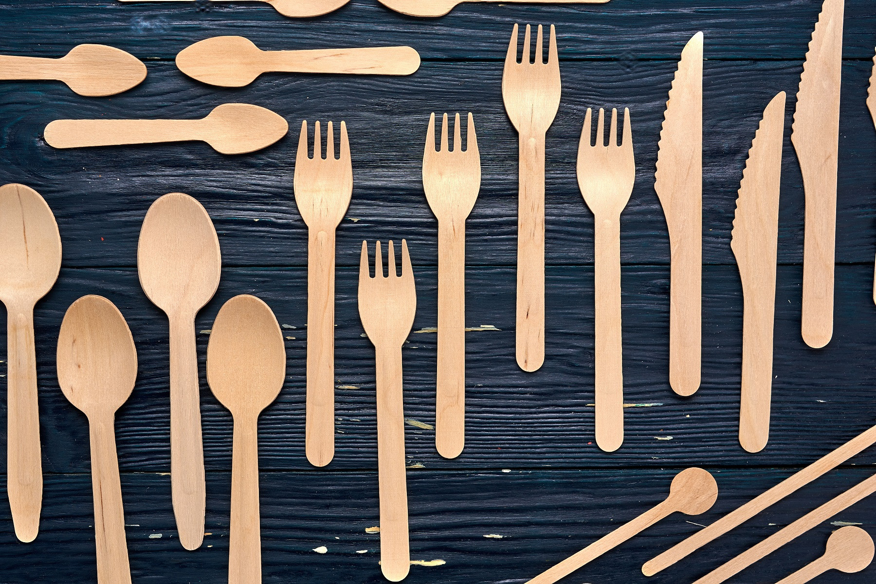 В 2022 году в Ярославской области начнут выпускать посуду из шпона