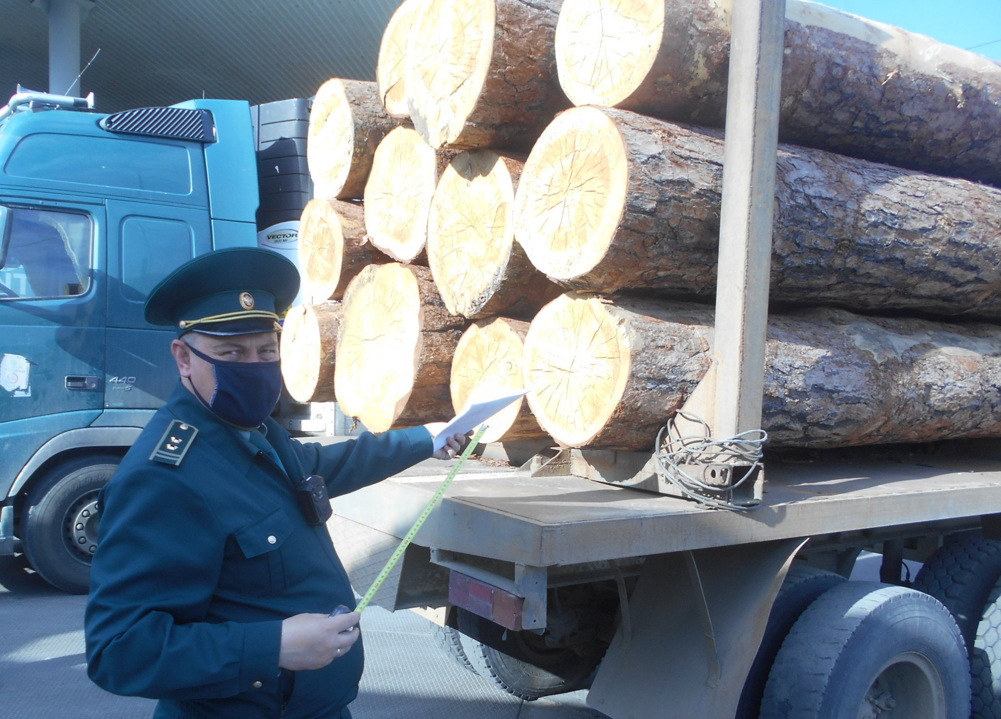 В 2021 году Бурятия отправила на экспорт более 3 млн кубометров древесины