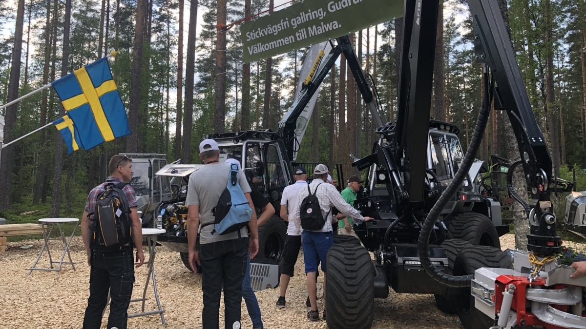 Международная выставка лесного хозяйства Elmia Wood вернется в начале июня