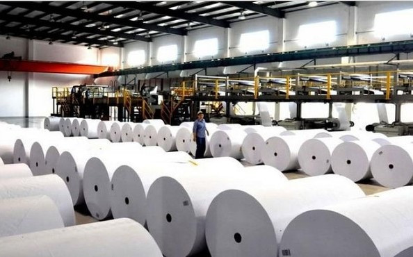 Правительство рассмотрит возможность финансирования инвестпроектов Segezha Group и Rockwell Capital