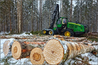 Лесозаготовительные активы Segezha Group в Красноярском крае стали одним филиалом