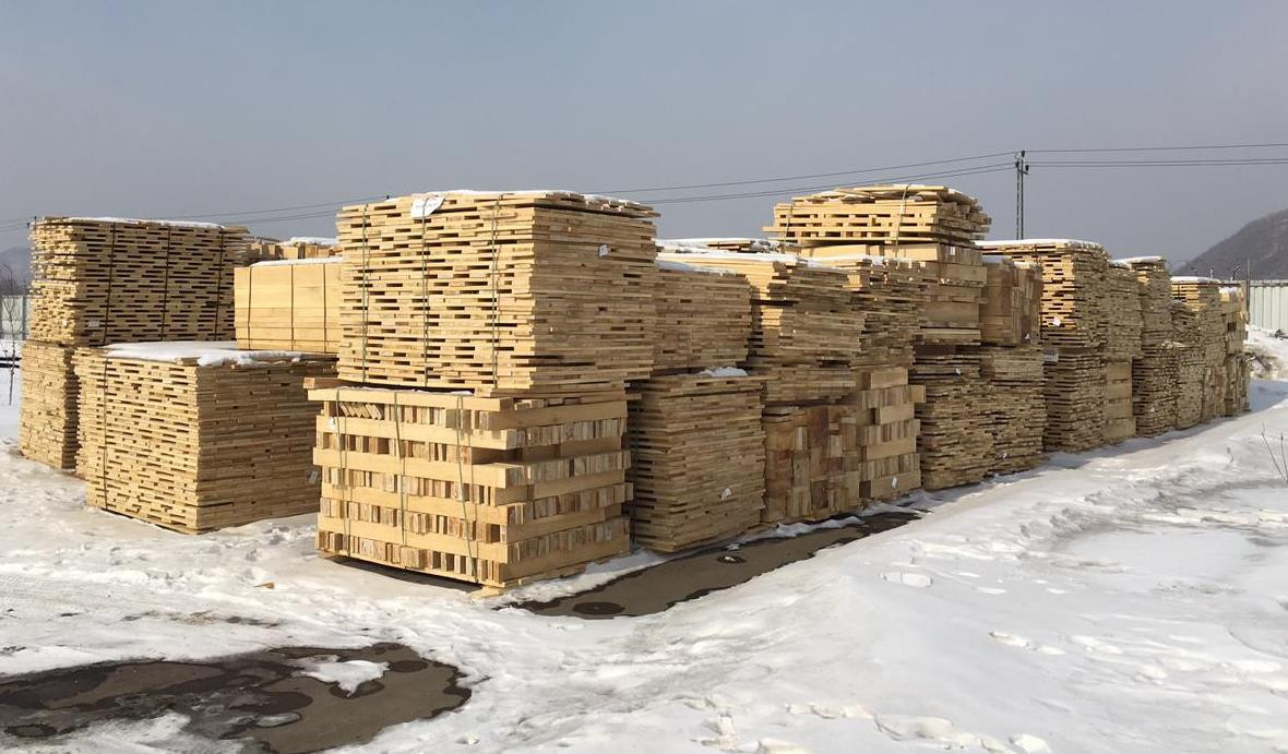 Контрабандист из ДФО пытался незаконно вывезти почти 200 кубометров древесины