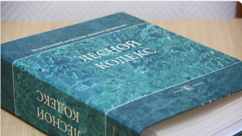 Российские депутаты предлагают реформировать Лесной кодекс