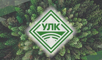 Холдинг &laquo;УЛК&raquo; приостановил строительство завода в Архангельской области