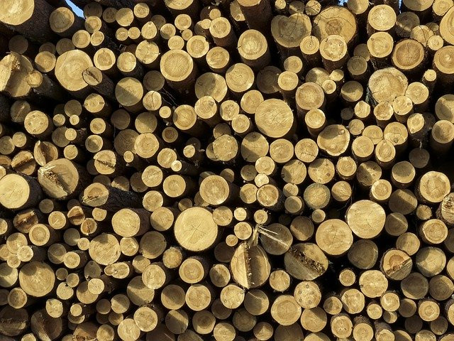 Инвестпроект группы &laquo;Илим&raquo; в Иркутской области включен в перечень ПИПов