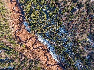 Предприятия Архангельского ЦБК вышли из системы сертификации FSC International