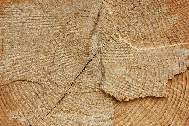 Очередная онлайн-конференция Woodindex 2022 пройдет в апреле