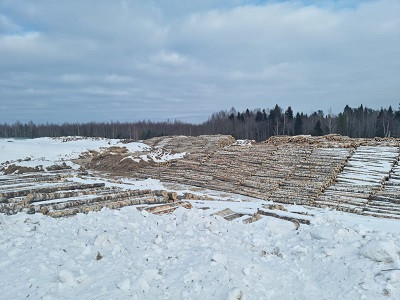 Предприятия &laquo;Свезы&raquo; завершили снегование лесосырья