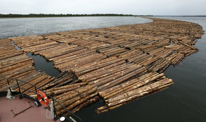 В Коми продолжают обсуждать возможность возобновления лесосплава