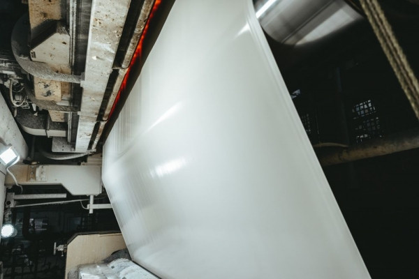 Группу &laquo;Кама&raquo; включили в список системообразующих предприятий