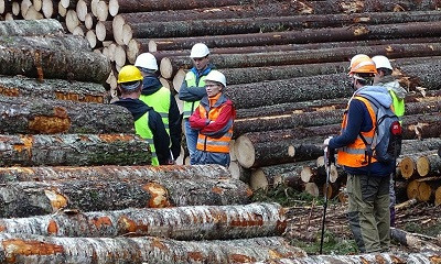 Stora Enso намерена продать часть российских активов