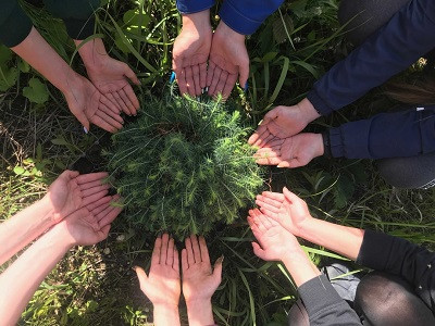 Архангельский ЦБК не откажется от принципов ответственного лесоуправления