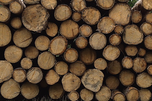 В 2021 году объем потребления круглого леса в Финляндии превысил 85 млн кубометров