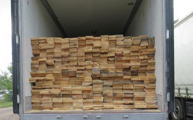 В Башкортостане возбудили шесть уголовных дел против местного контрабандиста древесины