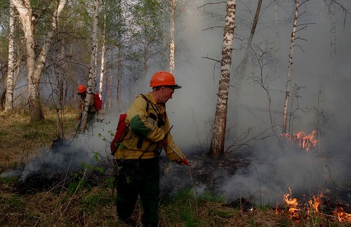 Почти 350 лесных пожаров потушили в России на минувшей неделе