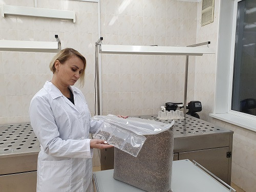 Федеральному фонду лесных семян исполнилось 15 лет