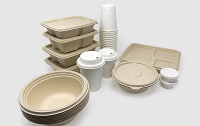 Transcend Packaging создаст крупносерийный завод по производству формованного волокна