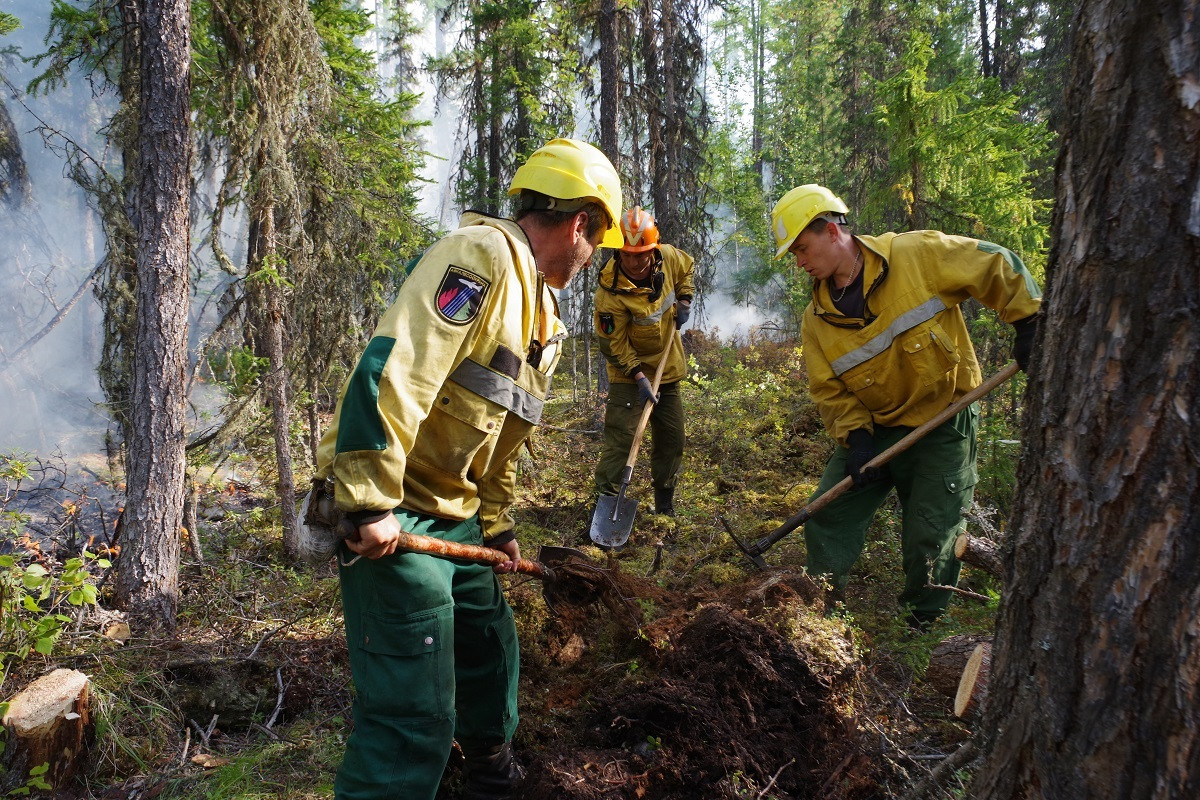 За неделю в России потушили 578 лесных пожаров