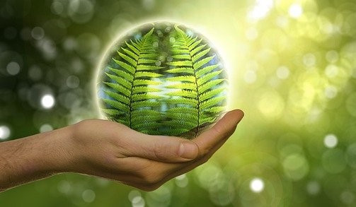 Группа &laquo;Илим&raquo; успешно прошла экологический аудит ERM Eurasia Limited