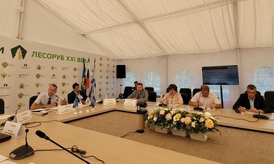 Реализация леса на СПбМТСБ бюджетными учреждениями в январе-июле выросла на 32,5%