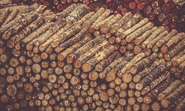 &laquo;Вологодские лесопромышленники&raquo; увеличили выручку на 64% и попали в топ-10 крупнейших компаний ЛПК