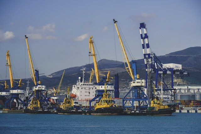 Евросоюз пытается заменить российский лес тропической древесиной