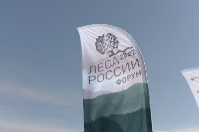 Отраслевой форум &laquo;Леса России&raquo; начался сегодня в Красноярске