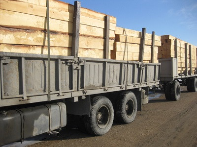 В Алтайском крае выявили контрабанду леса на 11 миллионов рублей