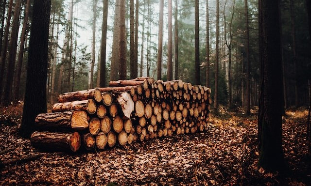 В трех российских регионах введут электронные договоры аренды