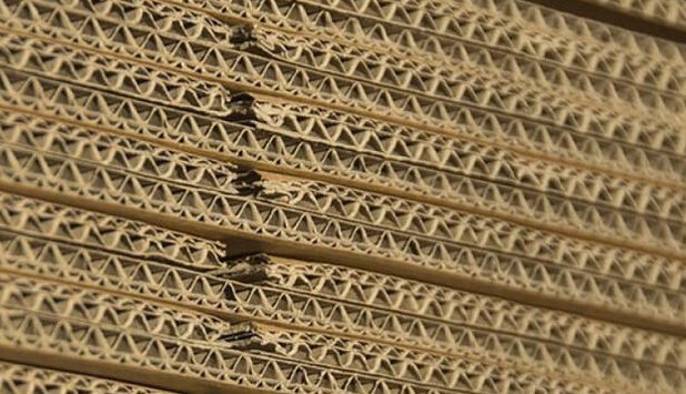 В Узбекистане запустили завод по производству картона