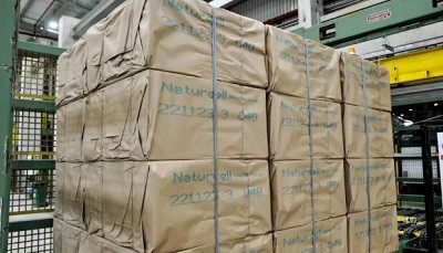 В 2023 году Ence поставит на европейский рынок миллион тонн целлюлозы