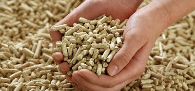 Правительство направит 15 млрд рублей на перевод мазутных котельных на биотопливо