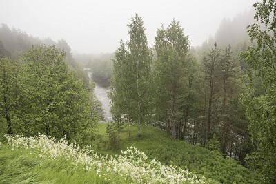 &laquo;Свеза&raquo; заняла второе место в ESG-рэнкинге Национального рейтингового агентства