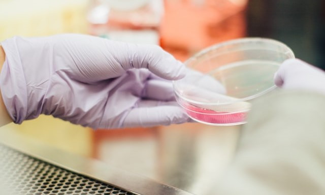 В марте компания &laquo;Профи&raquo; презентует новую клеевую систему для КДК