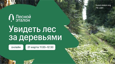 &laquo;Лесной эталон&raquo; проведет онлайн-встречу &laquo;Увидеть лес за деревьями&raquo;