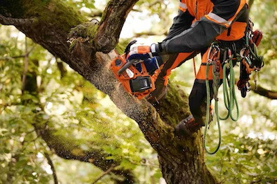 CDP вновь признала Husqvarna Group мировым лидером по устойчивому взаимодействию с поставщиками