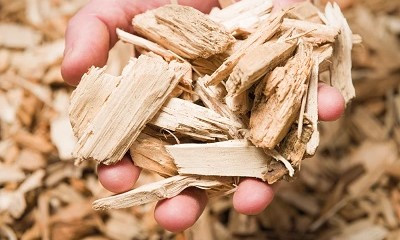 Калужская область экспортировала в Беларусь 6000 кубометров топливной щепы