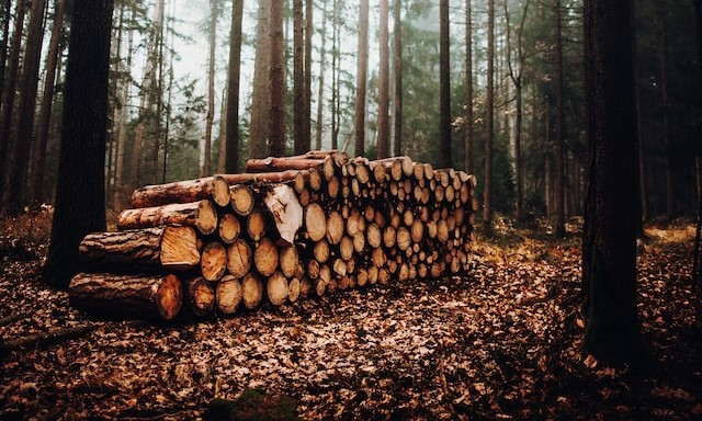 Зарегистрируйтесь на конференцию &laquo;Лесозаготовка: аналитика, экономика, внедрение IT решений&raquo;