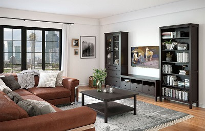 В ближайшие месяцы 16 салонов &laquo;Ангстрем&raquo; откроются в странах СНГ