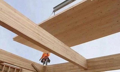 Правительство поддержит производство CLT в Вологодской области