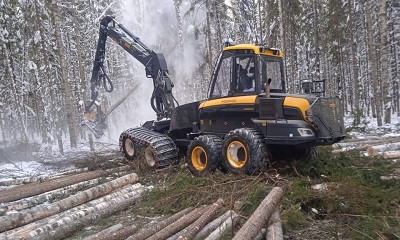 &laquo;Свеза&raquo; готова перейти на электронный учет древесины в ЛесЕГАИС