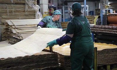 Комбинат &laquo;Свезы&raquo; в Вологодской области признан лучшим по показателям охраны труда