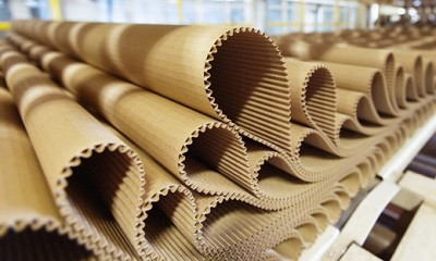 В 2024 году в Приморье запустят новое производство тарного картона из вторсырья