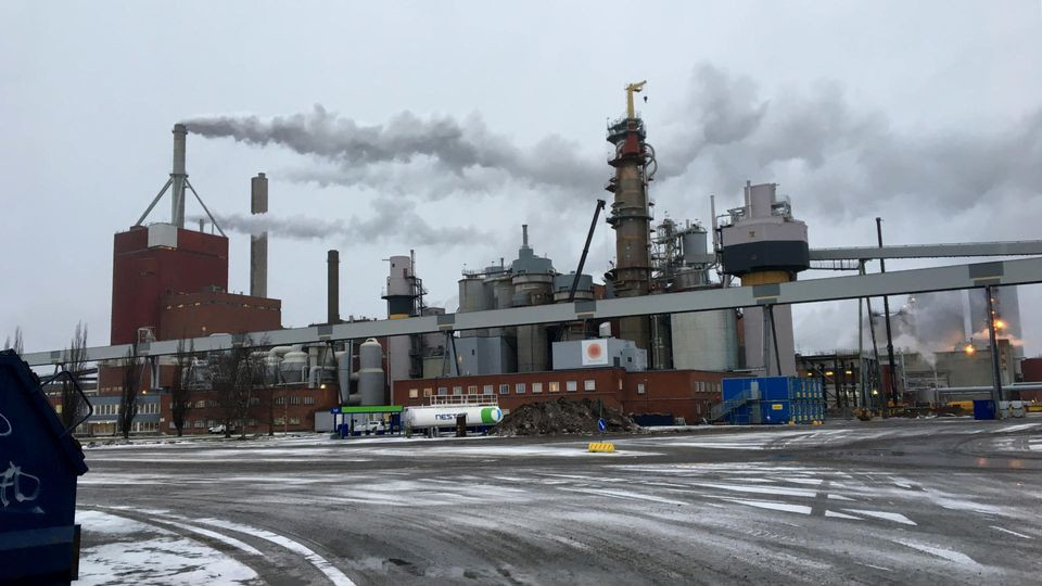 На предприятии Stora Enso в Финляндии выявлена вспышка коронавируса