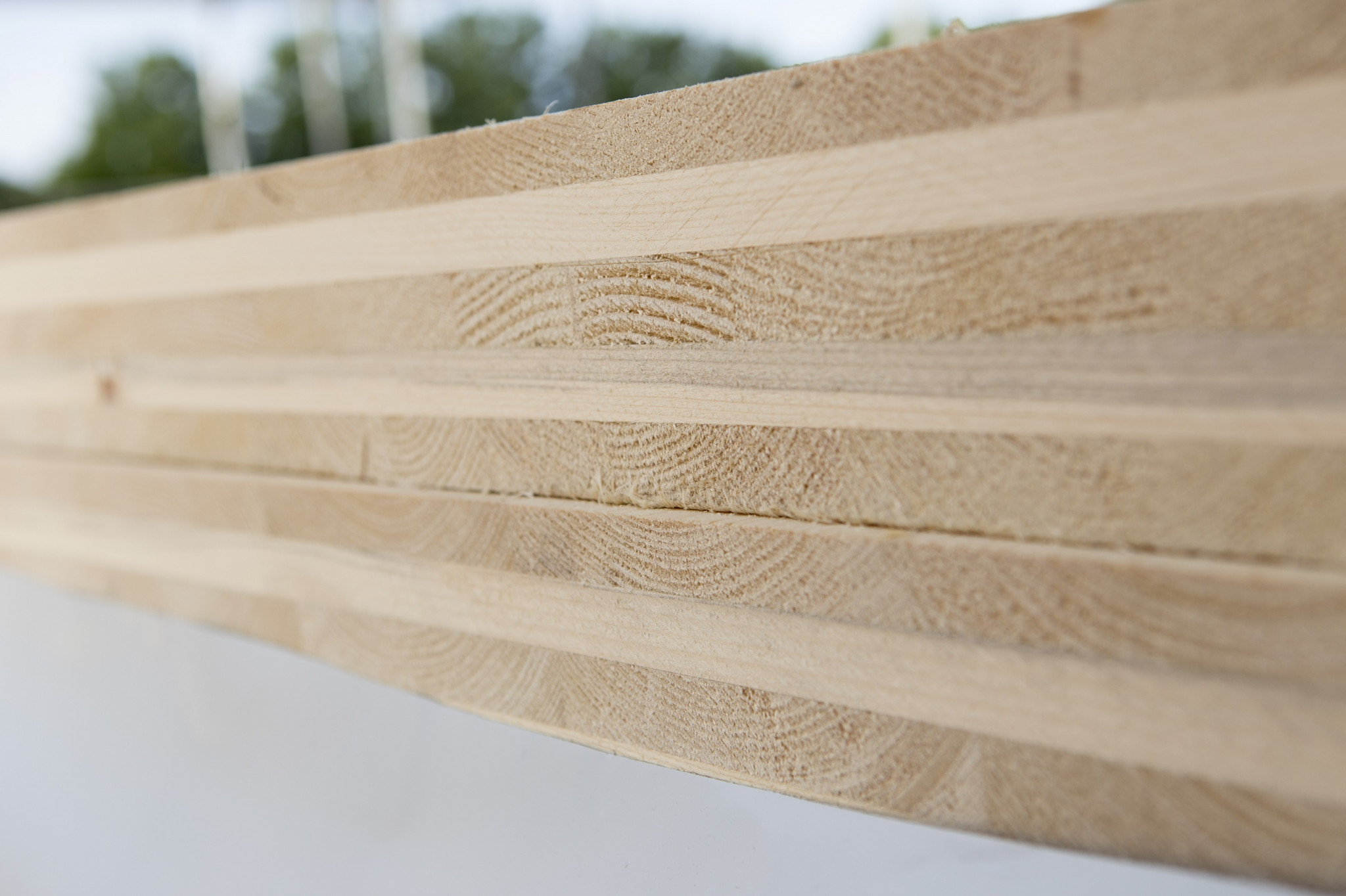 Компания S&ouml;dra направит масштабные инвестиции на исследования в области CLT